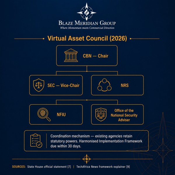Nigeria Virtual Asset Council organisation chart showing CBN as chair and SEC as vice-chair under President Tinubu's 2026 Executive Order on virtual asset coordination.